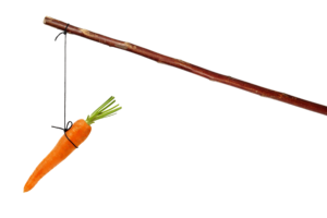 chasing the perfect carrot. carrot on a stick